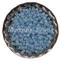 Size 11 - Murasaki Lt. Aqua Luster Beads