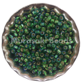 Size 11 - Murasaki Lt. Green AB Silver Lined Beads