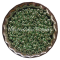 Size 11 - Murasaki PermaFinish Sea Foam Beads