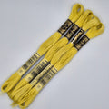DMC 17 Light Yellow Plum