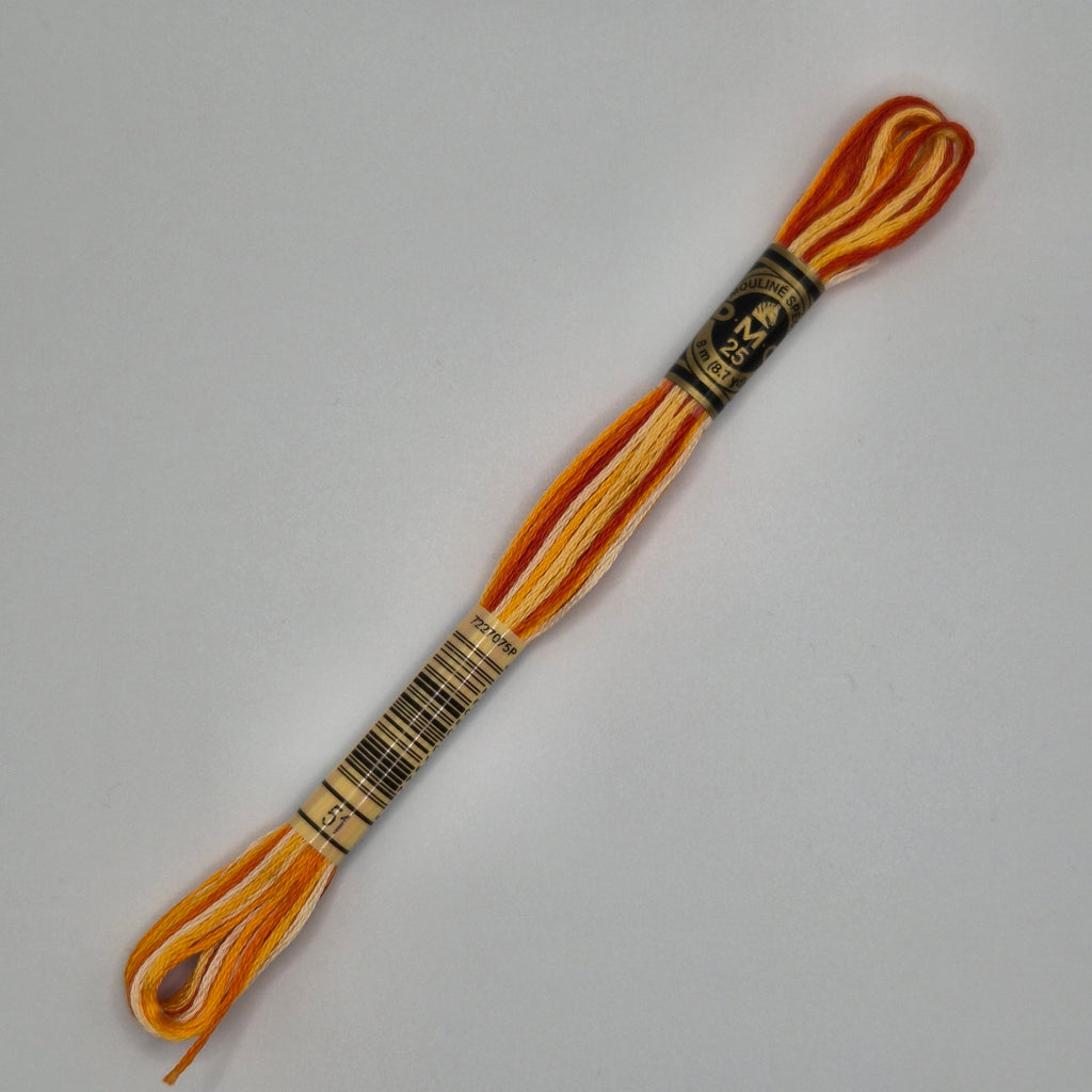 DMC 51 Variegated Burnt Orange