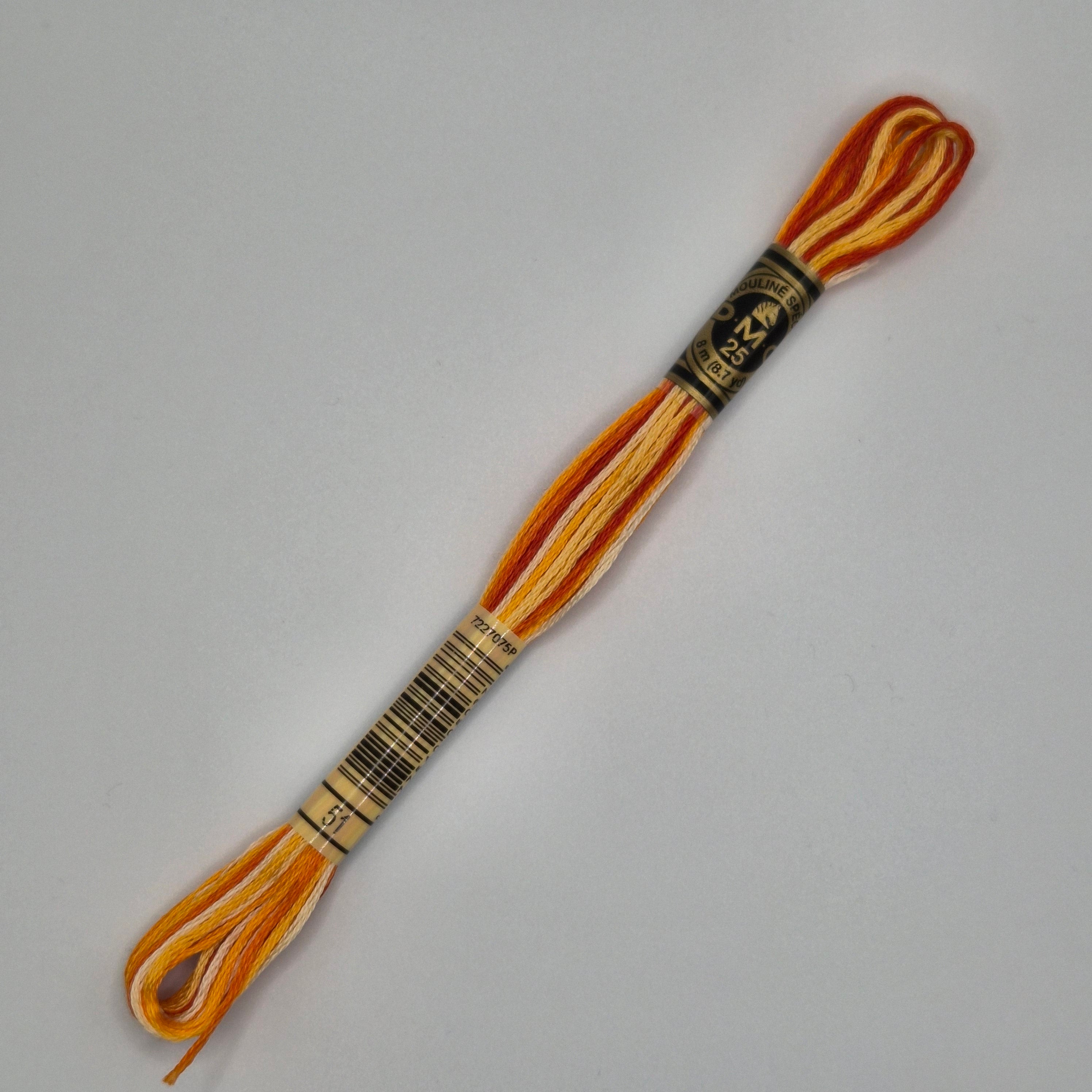 DMC 51 Variegated Burnt Orange