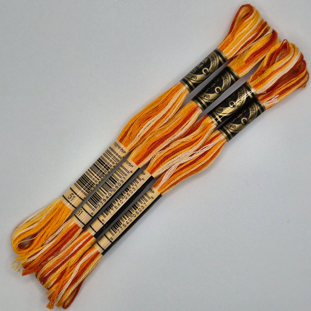 DMC 51 Variegated Burnt Orange