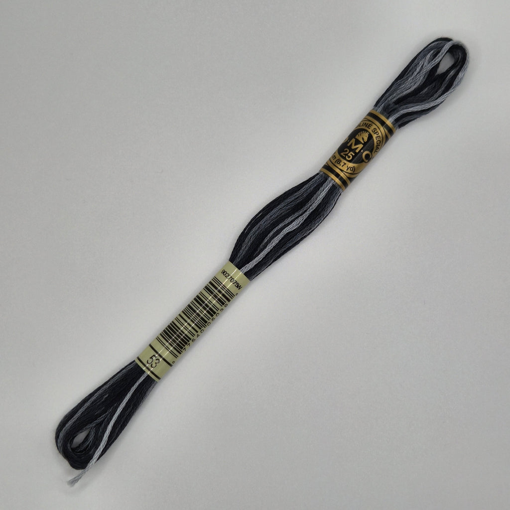 DMC 53 Variegated Steel Gray