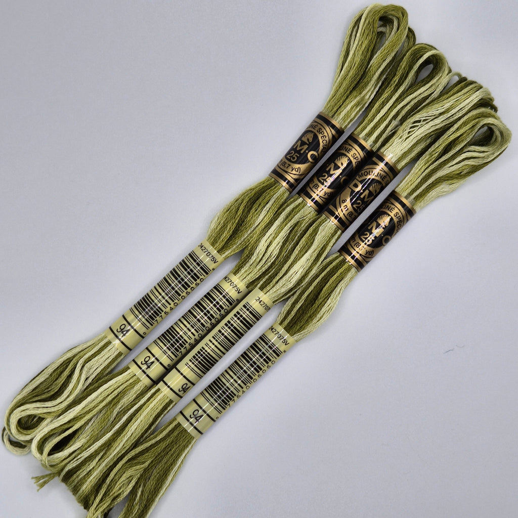 DMC 94 Variegated Khaki Green