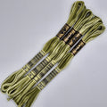 DMC 94 Variegated Khaki Green