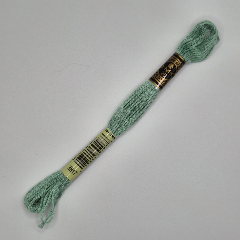 DMC 3817 Light Celadon Green