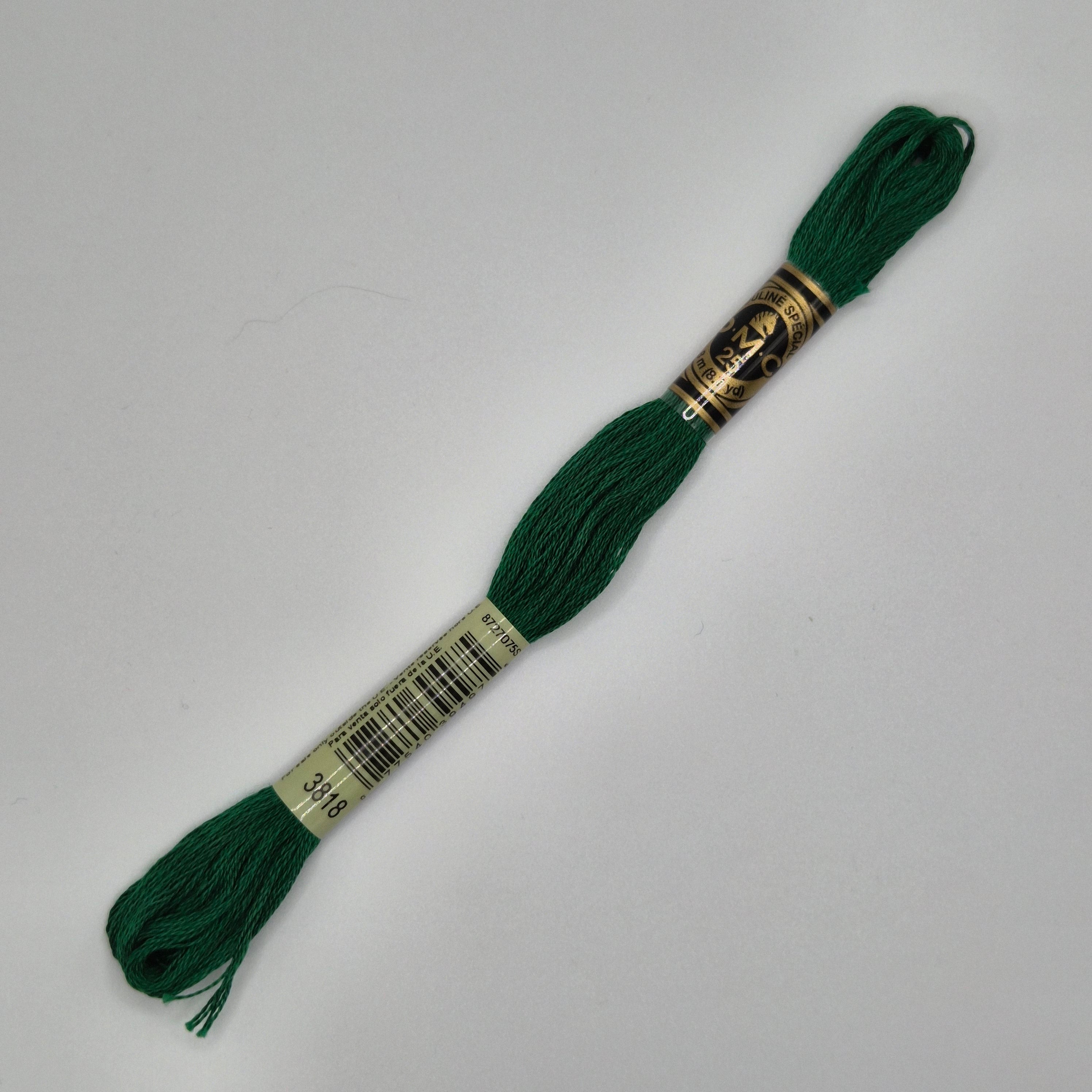 DMC 3818 Ultra Very Dark Emerald Green