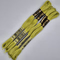 DMC 3819 Light Moss Green