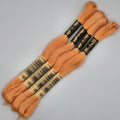 DMC 3825 Pale Pumpkin