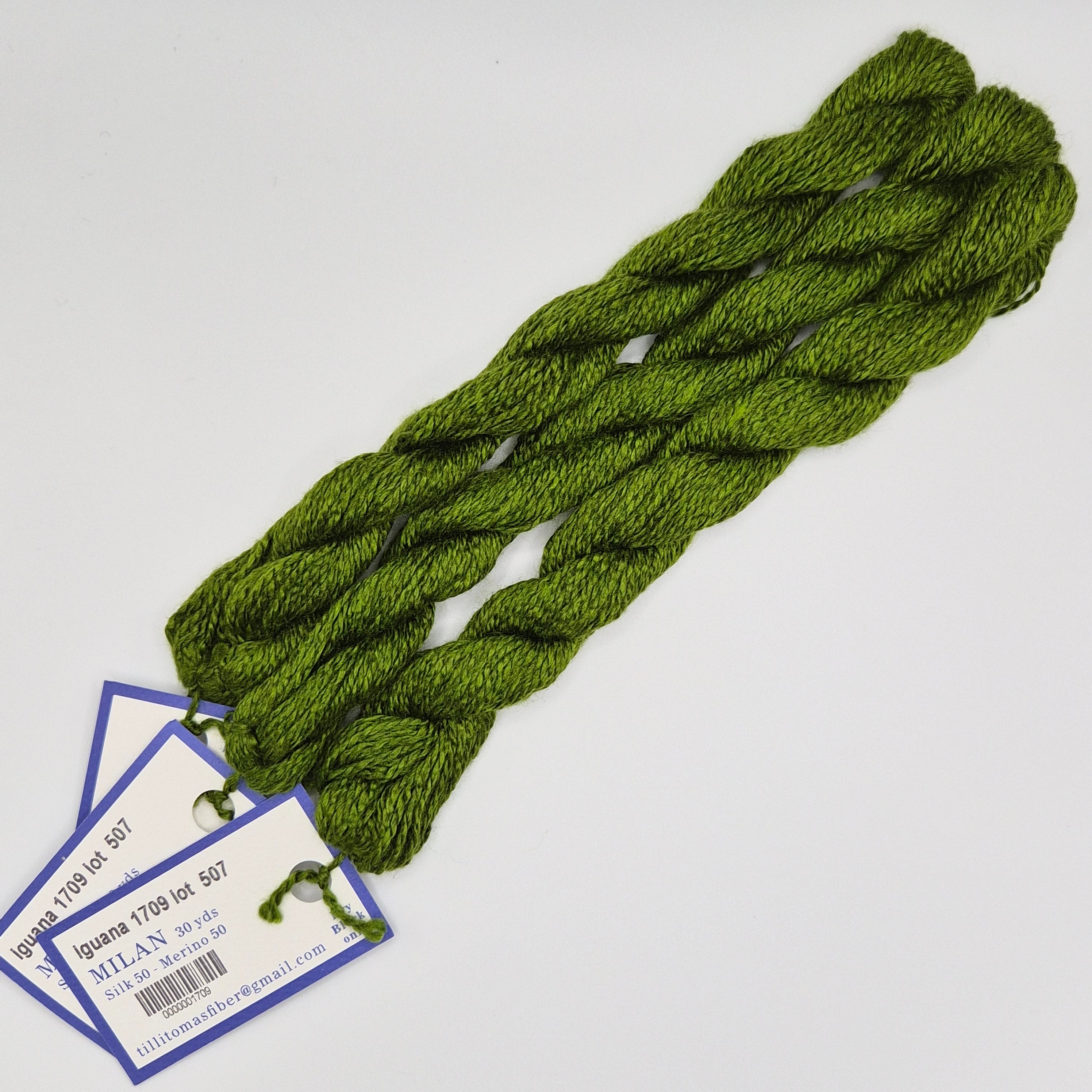 Milan Skein 1709 Iguana