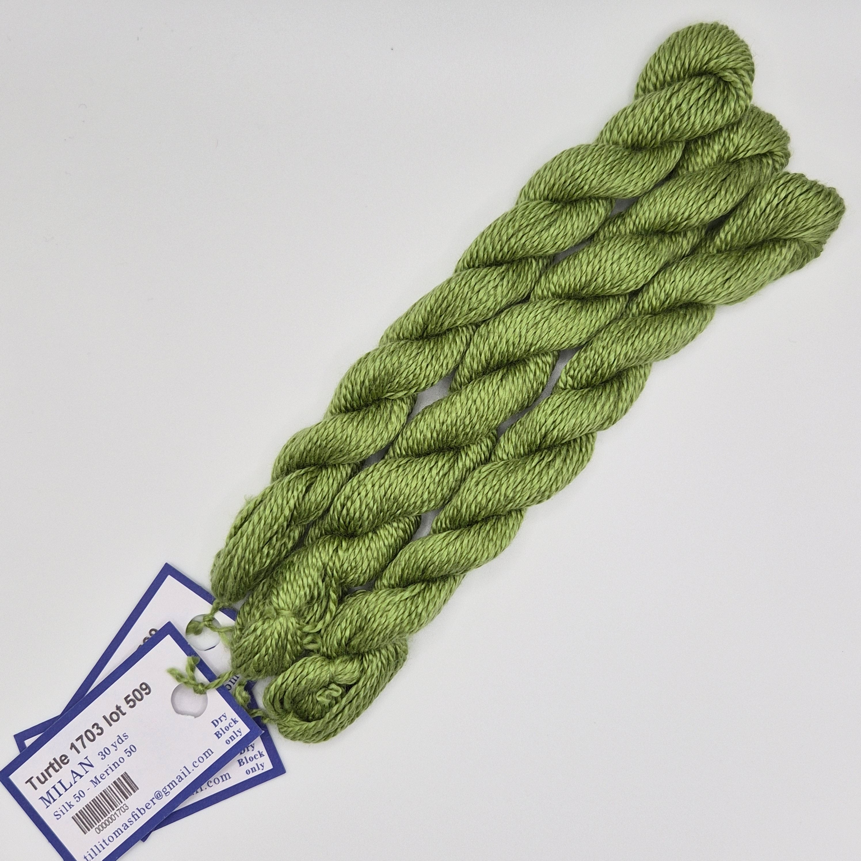 Milan Skein 1703 Turtle