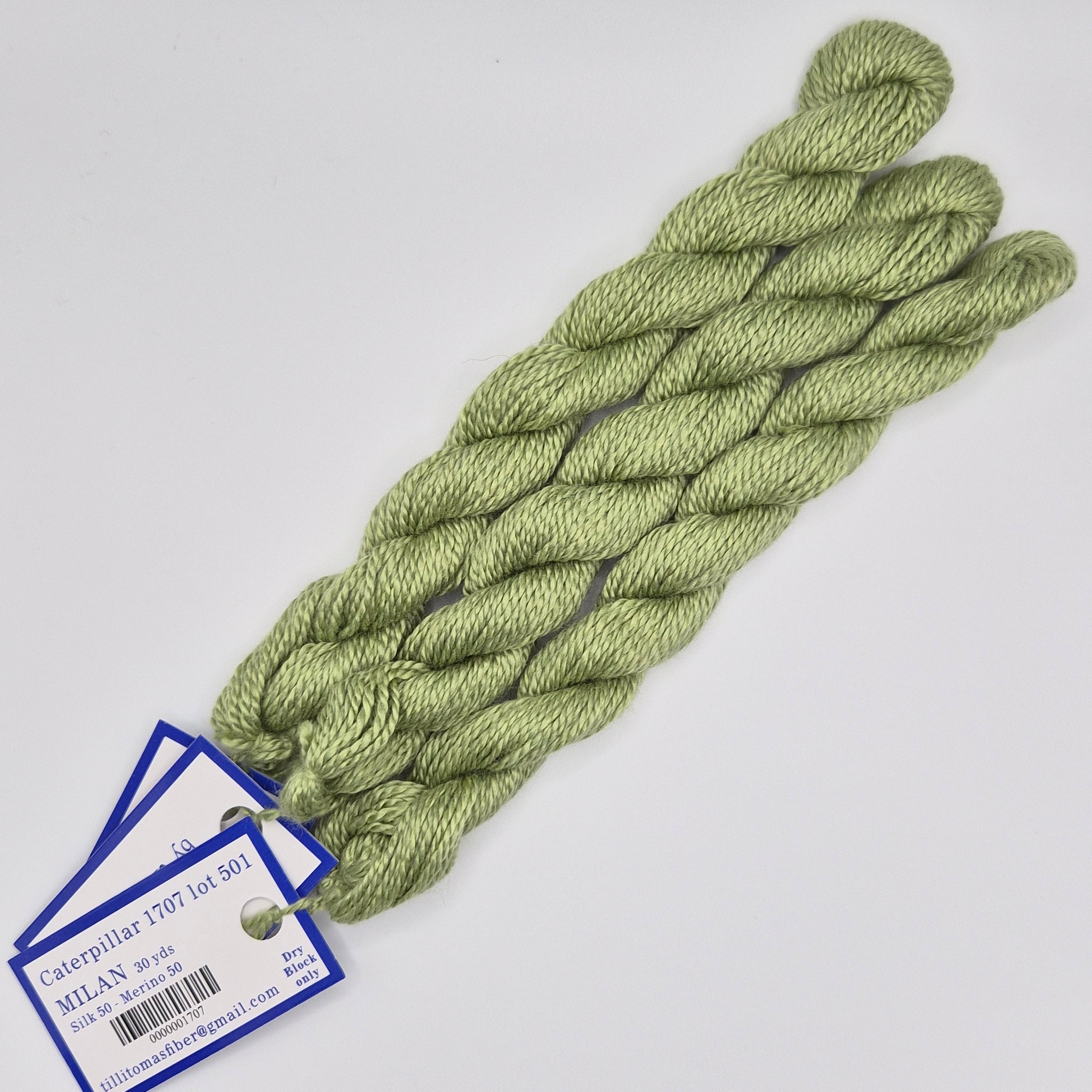 Milan Skein 1707 Caterpillar