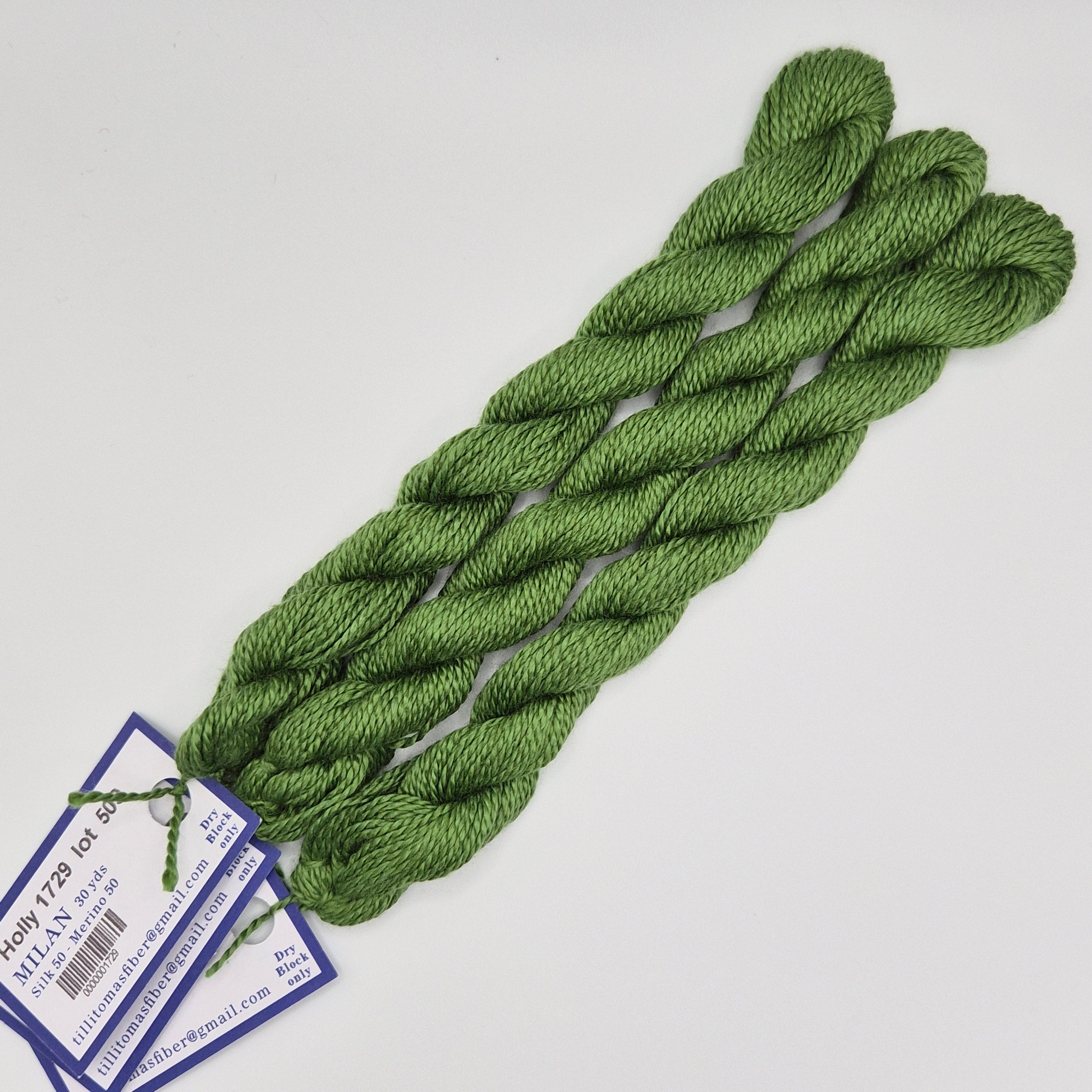 Milan Skein 1729 Holly