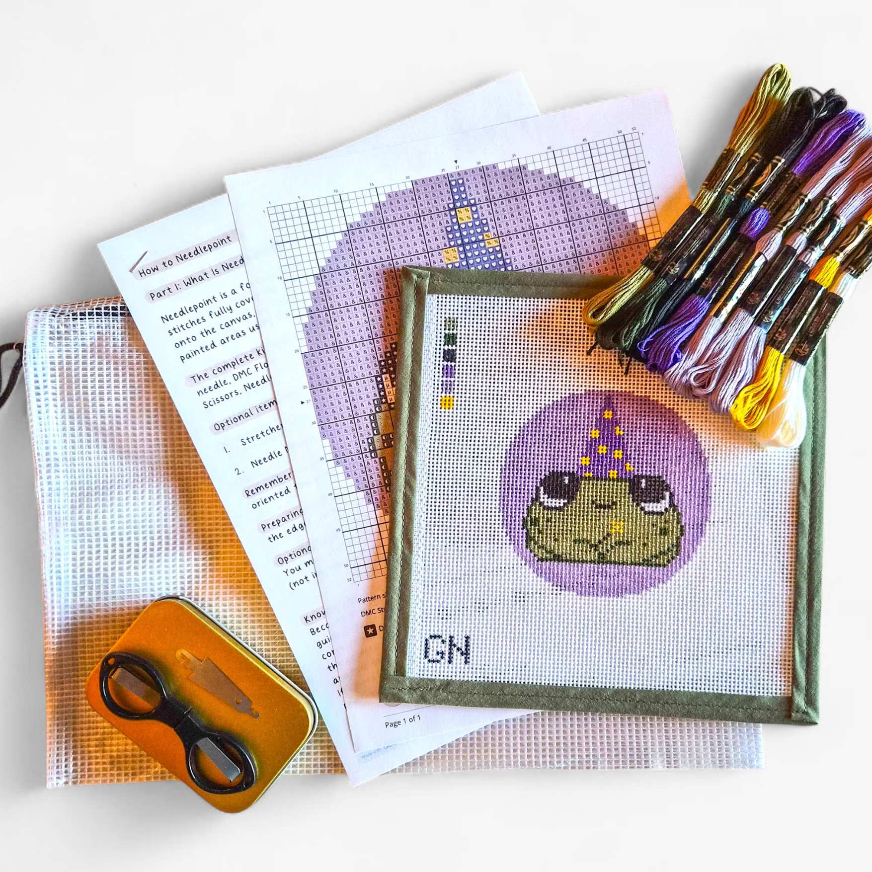 Wizard Frog Needlepoint Kit