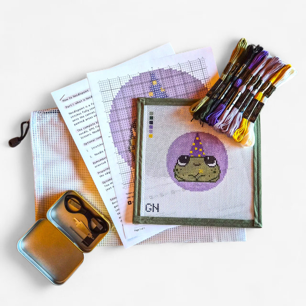 Wizard Frog Needlepoint Kit