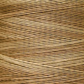 Weeks Dye Works - Winter Wheat #1122
