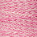 Weeks Dye Works - Sophia's Pink #1138