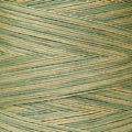 Weeks Dye Works - Artichoke #1183