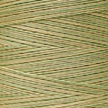 Weeks Dye Works - Butter Bean #1189
