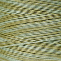 Weeks Dye Works - Dried Sage #1191