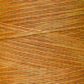 Weeks Dye Works - Amber #1224