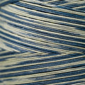 Weeks Dye Works - Hosta #1251