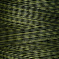 Weeks Dye Works -  Collards #1277