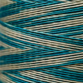 Weeks Dye Works -  Mallard #1281