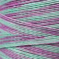 Weeks Dye Works - Madras #2126