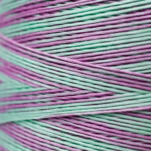 Weeks Dye Works - Madras #2126