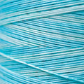 Weeks Dye Works - Robin's Egg #2129