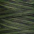Weeks Dye Works - Seaweed #2159