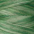 Weeks Dye Works - Emerald #2171