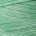 Weeks Dye Works - Granny Smith #2191