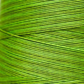 Weeks Dye Works - Paris Green #2204a