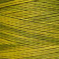 Weeks Dye Works - Pepperoncini #2207