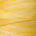 Weeks Dye Works - Sally's Sunshine #2218