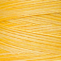 Weeks Dye Works - Saffron #2223