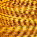 Weeks Dye Works - Marigold #2225