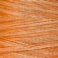 Weeks Dye Works - Daylily #2227