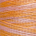 Weeks Dye Works - Mimosa #2231