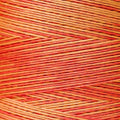 Weeks Dye Works - Autumn Leaves #2234