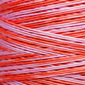 Weeks Dye Works - Flamingo #2247
