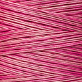 Weeks Dye Works - Camellia #2276