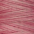 Weeks Dye Works - Madison Rose #2284