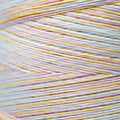 Weeks Dye Works - Spring Bouquet #4113