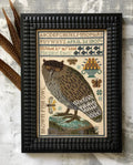 Brown Fish Owl - Cross Stitch Pattern