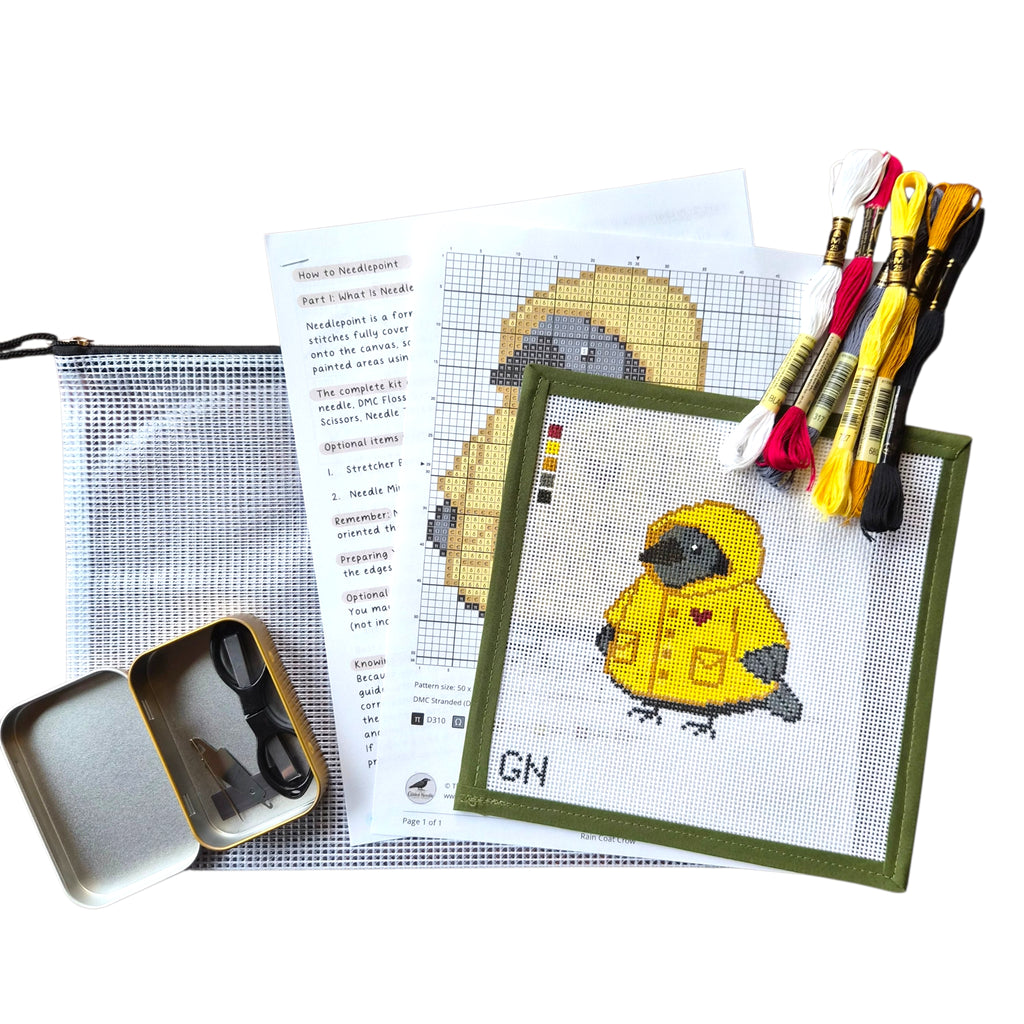 Raincoat Crow Needlepoint Kit